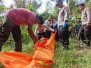 Kronologis Penemuan Kerangka Wanita Muda di Gunung Cakrabuana oleh Pencari Rumput kerangka wanita muda di Gunung Cakrabuana