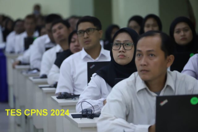 Tamatan SMA sederajat - CPNS 2024