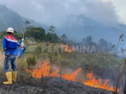 Hutan Gunung Guntur Kebakaran, Lokasi Sulit Dijangkau Mobil Pemadam Gunung Guntur Kebakaran