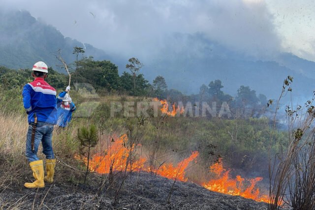 Gunung Guntur kebakaran - 0 - pertamina Gunung Guntur Kebakaran